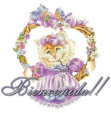 comentarios para hi5