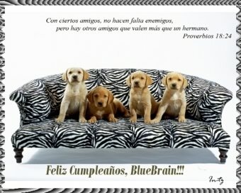 comentarios para hi5