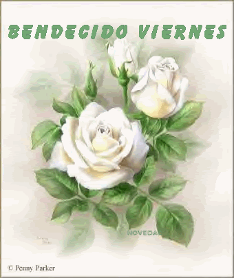 comentarios para hi5