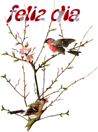 comentarios para hi5