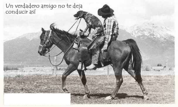 comentarios para hi5