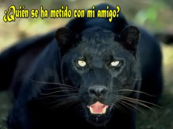 comentarios para hi5