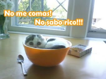 comentarios para hi5