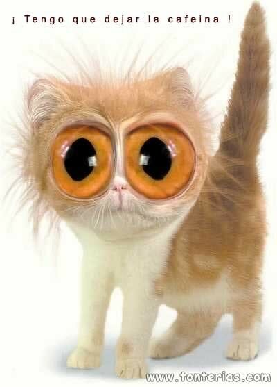 comentarios para hi5